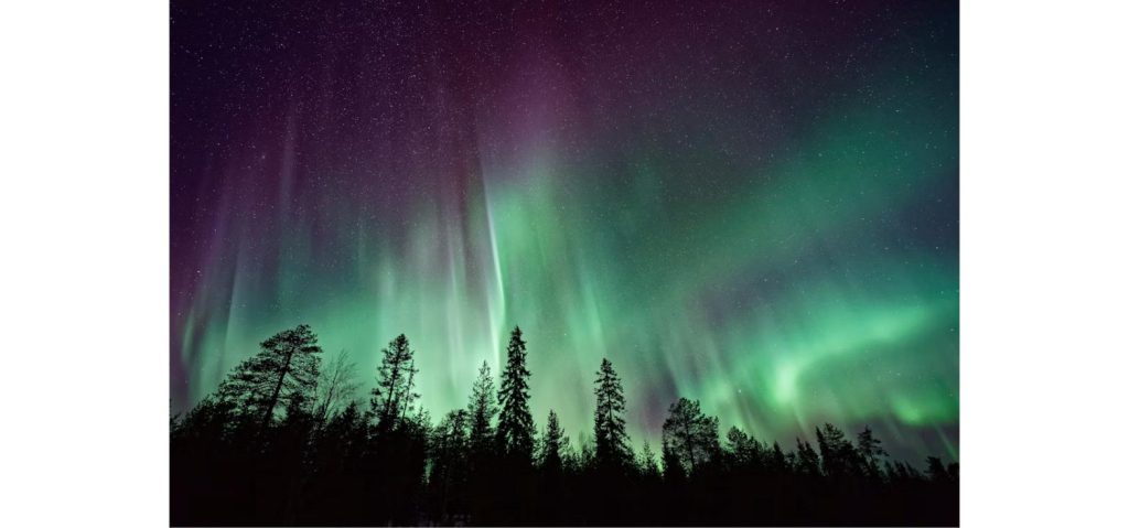 Aurora borealis glowing green and purple over silhouetted trees, part of the northern lights forecast for tonight