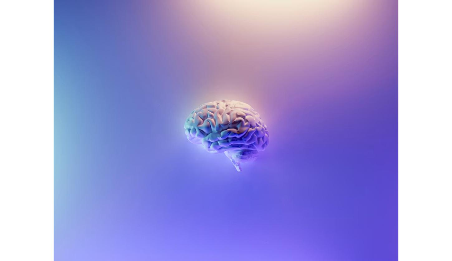 Brain illustration representing the AI reasoning skills and cognitive atrophy warning from Goldman Sachs
