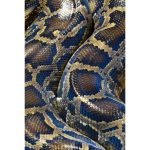 Close-up of a Burmese python's patterned scales representing the invasive species spreading across Florida