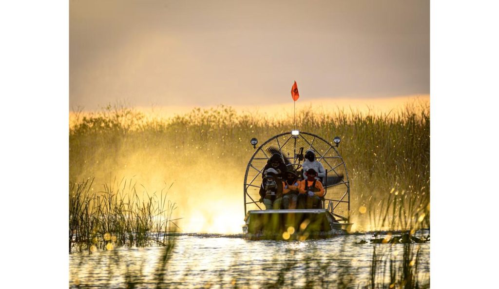 Airboat traveling through Everglades wetlands where Burmese pythons in Florida have established a breeding population