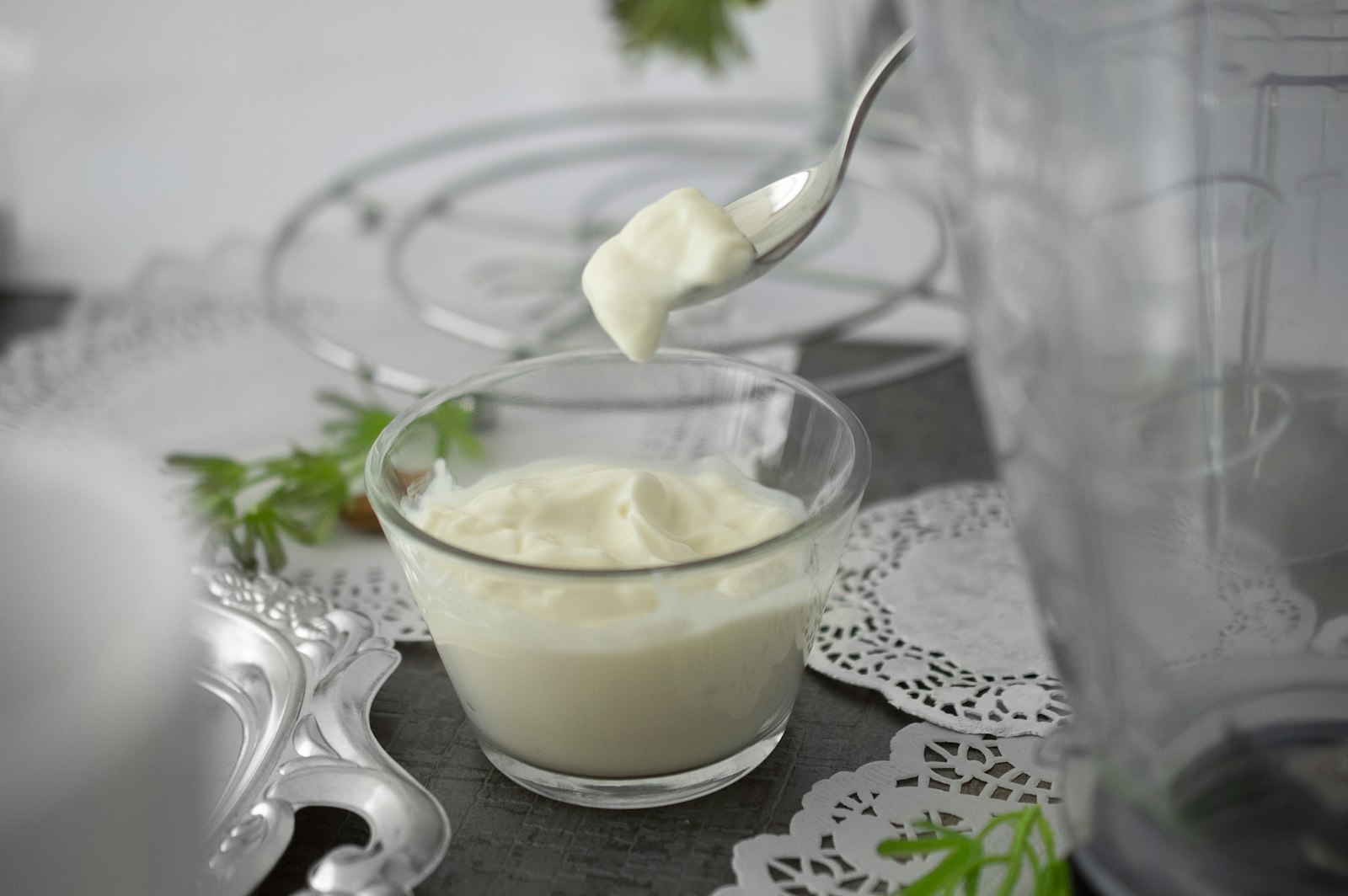 Close-up of high-protein Greek yogurt and cream, symbolizing America's protein obsession